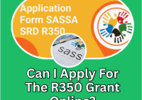 Can I Apply For The R350 Grant Online?