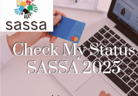 Check My Status SASSA 2025