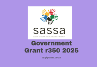 Government Grant r350 2025