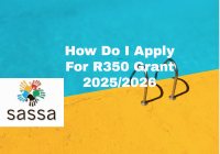 How Do I Apply For R350 Grant 2025/2026