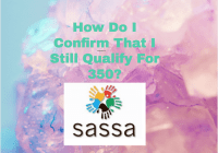 How Do I Confirm That I Still Qualify For 350? SASSA status check