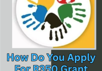How Do You Apply For R350 Grant 2026-2027