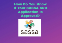 How Do You Know If Your SASSA SRD Application Is Approved?