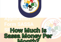How Much Is Sassa Money Per Month?