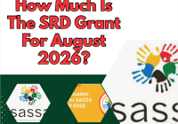 How Much Is The SRD Grant For August 2026?