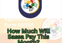 How Much Will Sassa Pay This Month?