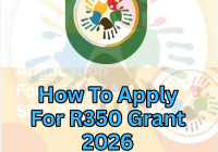 How To Apply For R350 Grant 2026