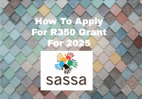 How To Apply For R350 Grant For 2025