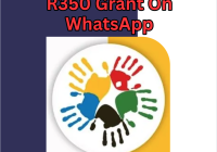 How To Apply For R350 Grant On WhatsApp