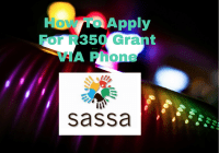 How To Apply For R350 Grant VIA Phone