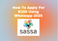 How To Apply For R350 Using Whatsapp 2025