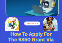 How To Apply For The R350 Grant Via The Sassa Chatbot