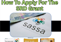 How To Apply For The SRD Grant