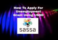 How To Apply For Unemployment Grant Using USSD