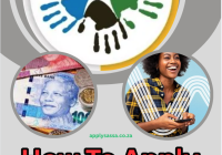 Complete Guide: How To Apply for the R350 SRD Grant Online 2026–2027