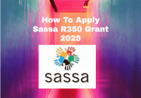 How To Apply Sassa R350 Grant 2025