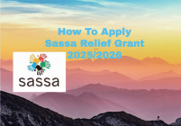 How To Apply Sassa Relief Grant 2025/2026
