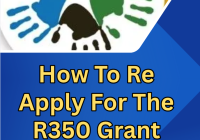How To Re Apply For The R350 Grant 2026