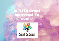 Is R350 Grant Increased To R700?