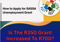 Is The R350 Grant Increased To R700?