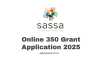 Online 350 Grant Application 2025
