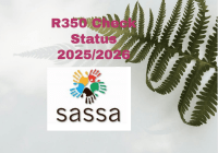 R350 Check Status 2025/2026