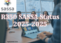 R350 SASSA Status 2025-2025