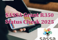 SASSA Grant R350 Status Check 2025