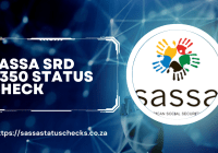 Check R350 Grant Status 2024-2025: SASSA Contact Information