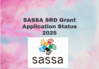 SASSA SRD Grant Application Status 2025