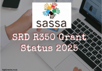 SASSA Status For 350 2025