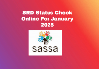 SRD Status Check Online For January 2025
