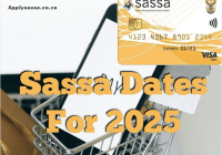 Sassa Dates For 2025