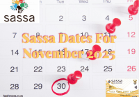 Sassa Dates For November 2025
