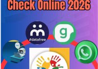 Sassa Status Check Online 2026