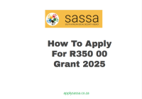 How To Apply For R 350 00 Grant 2025