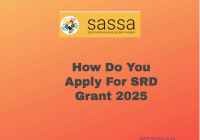 How Do You Apply For SRD Grant 2025