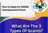 What Are The 3 Types Of Grants?