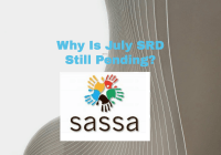 Why Is July SRD Still Pending?