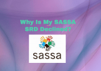 Why Is My SASSA SRD Declined?