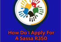 How Do I Apply For A Sassa R350 Online 2026