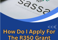 How Do I Apply For The R350 Grant Online 2026-2027