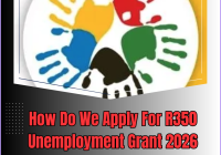 How Do We Apply For R350 Unemployment Grant 2026