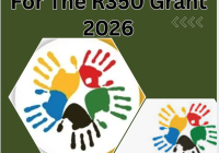 How Do You Apply For The R350 Grant 2026