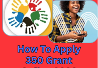 How To Apply 350 Grant Online 2026
