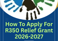 How To Apply For R350 Relief Grant 2026-2027