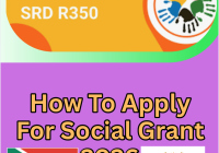 How To Apply For Social Grant 2026