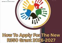 How To Apply For The New R350 Grant 2026-2027