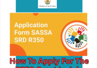 How To Apply For The R350 Grant In July 2026