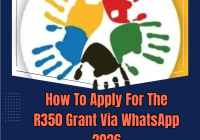 How To Apply For The R350 Grant Via WhatsApp 2026